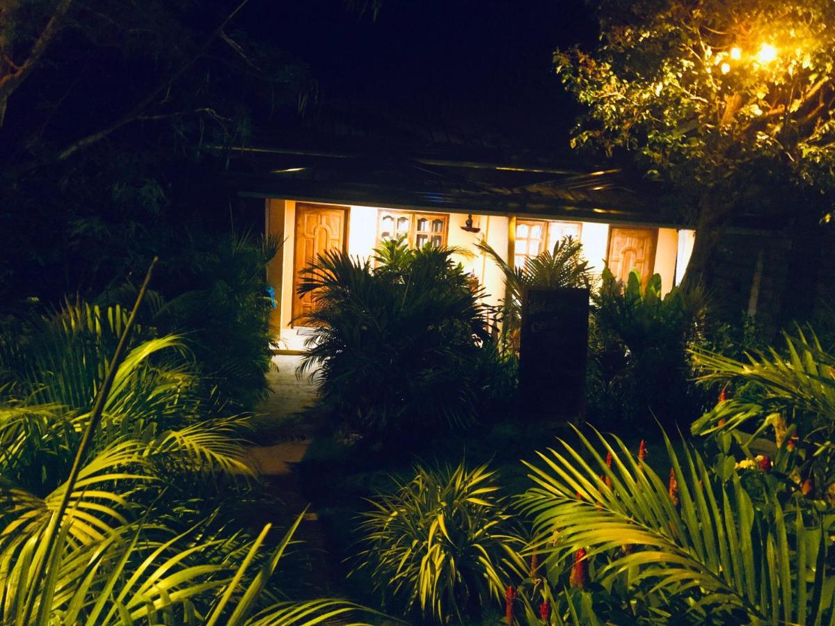ホテル Chekesh Casa シキホール エクステリア 写真